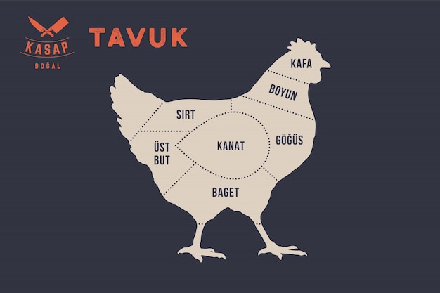 Premium Vector Meat Cuts Poster Butcher Diagram Tavuk