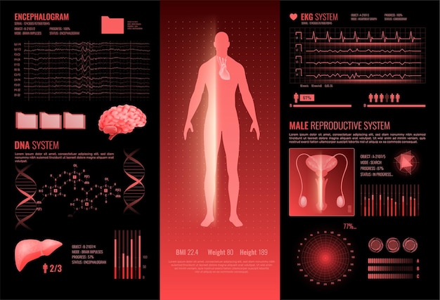 Medical hud interface infographics layout with ekg dna encephalography male reproductive information sections