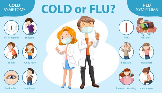 Medical infographic of cold and flu symptoms