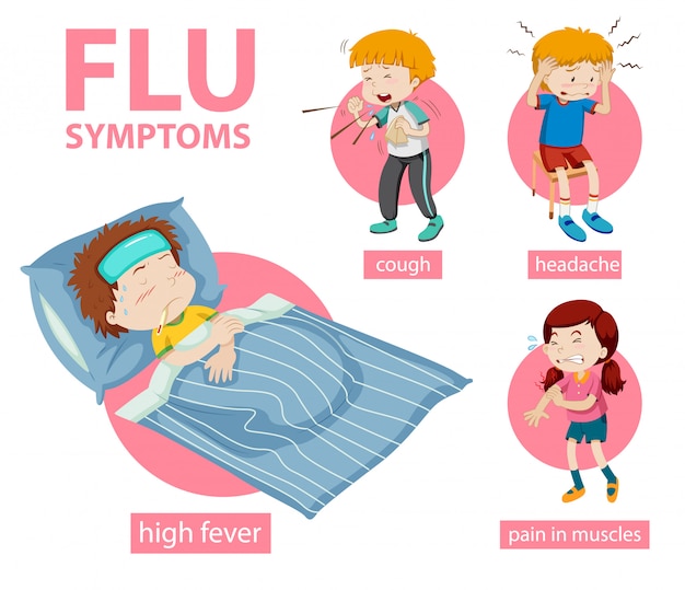 Medical infographic of flu symptoms