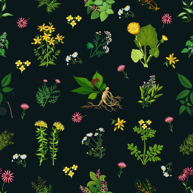 Medicinal Herbs Seamless Pattern