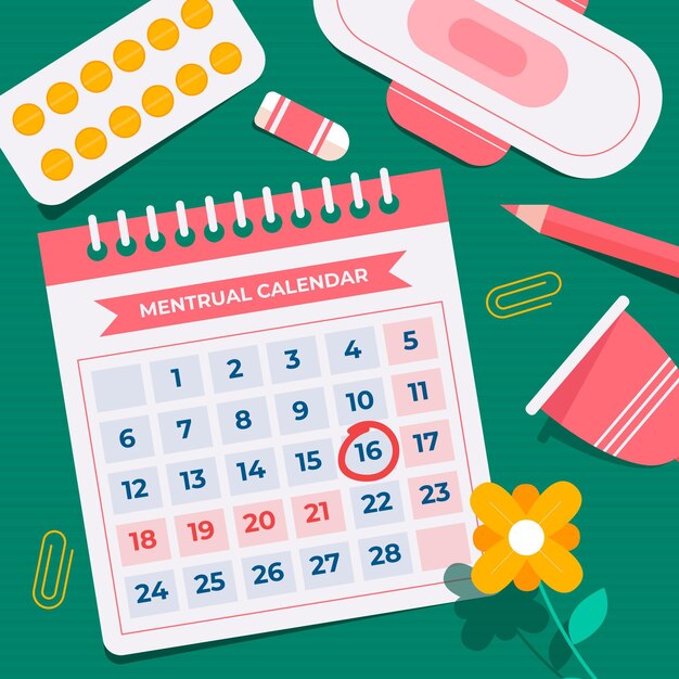 Menstrual calendar concept illustration