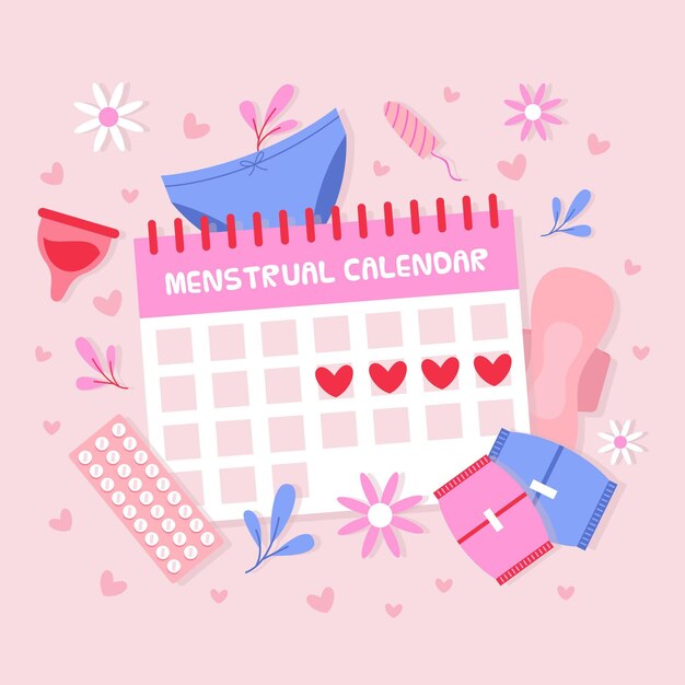 Menstrual calendar concept illustration