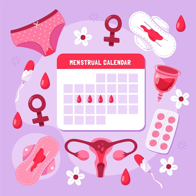 Menstrual calendar concept