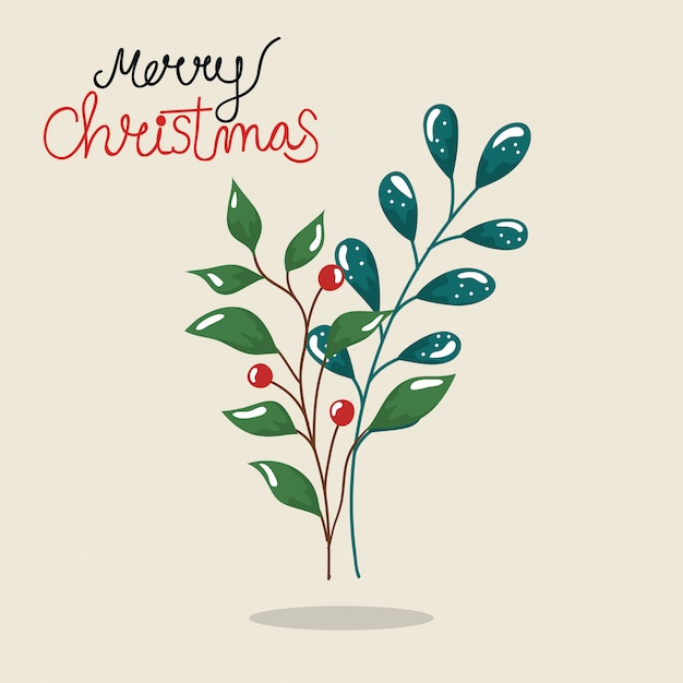 Merry christmas flyer with branches and leafs