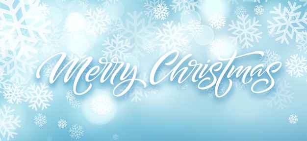 雪片のフレームにメリークリスマスの手描きのレタリング。クリスマスは、丸いフレームで書道を分離しました。降雪のクリスマス冷凍レタリング。クリスマスの氷の書道。バナー、ポスター冬のデザイン。ベクトル 無料ベクター