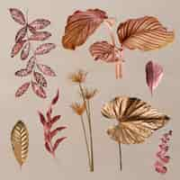 Free vector metallic tropical leaf set