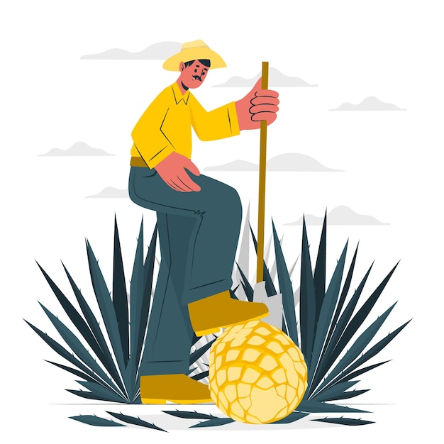 Illustrazione del concetto di coltivatore di agave messicana