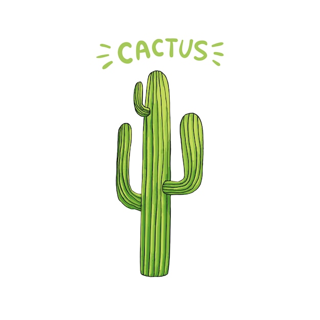 Vettore gratuito cactus messicano