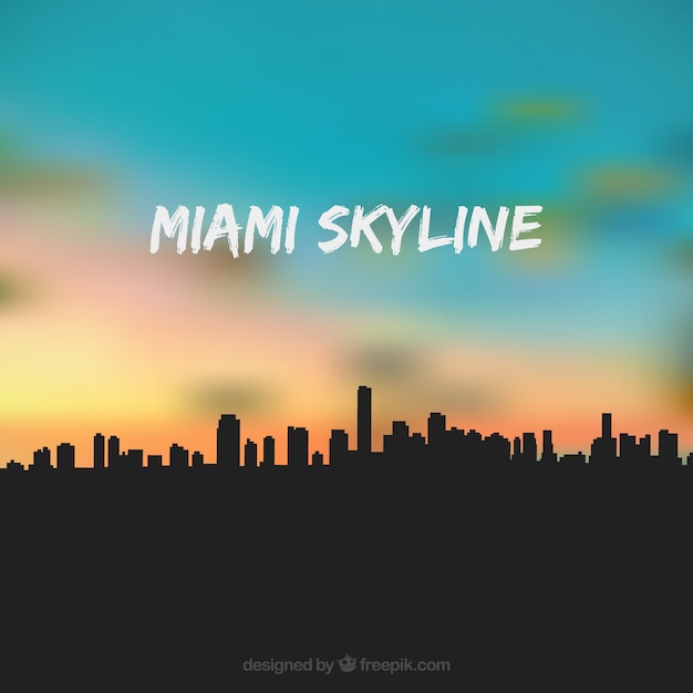 Miami Usa Skyline