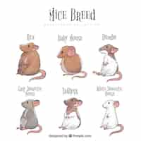 Free vector mice breed pack of six