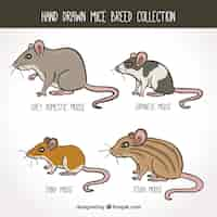 Free vector mice set of four