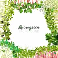 Free vector microgreens background frame