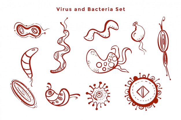 Vettore gratuito progettazione microscopica di germi di virus e batteri