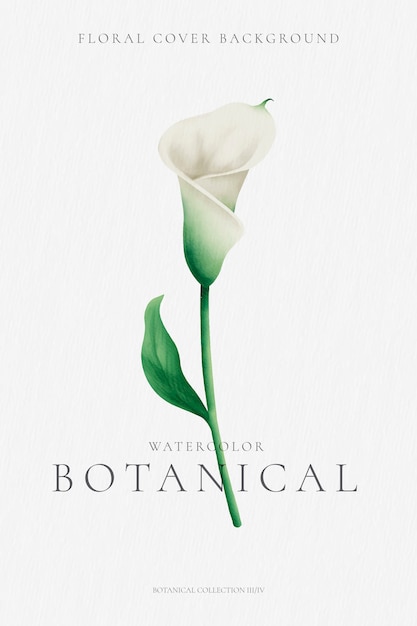 Minimal Botanical background with watercolor lily