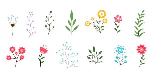 Minimal flowers and leaves collection