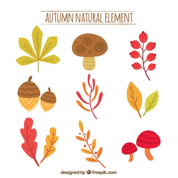 Elementi autunno minimalista