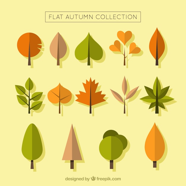Vettore gratuito collezione minimalista di elementi autunno