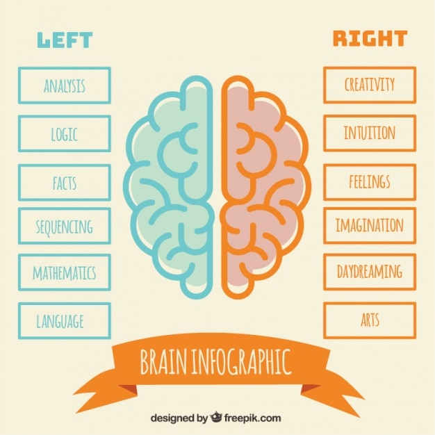 Free vector minimalist human brain infographic in flat design