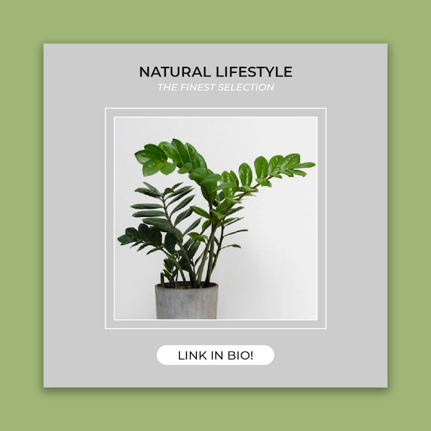 Minimalist plants home facebook post