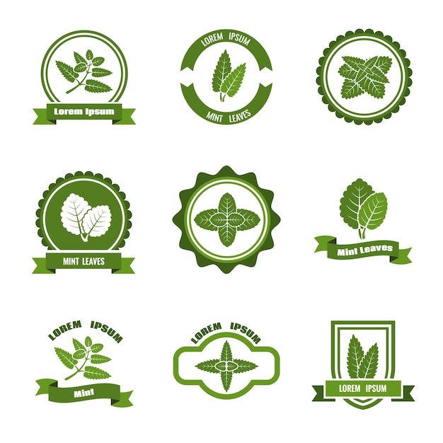 Set di loghi, etichette e badge di foglie di menta.
