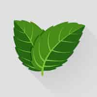 Free vector mint vector leaves. plant mint, green leaf mint, organic and fresh mint illustration