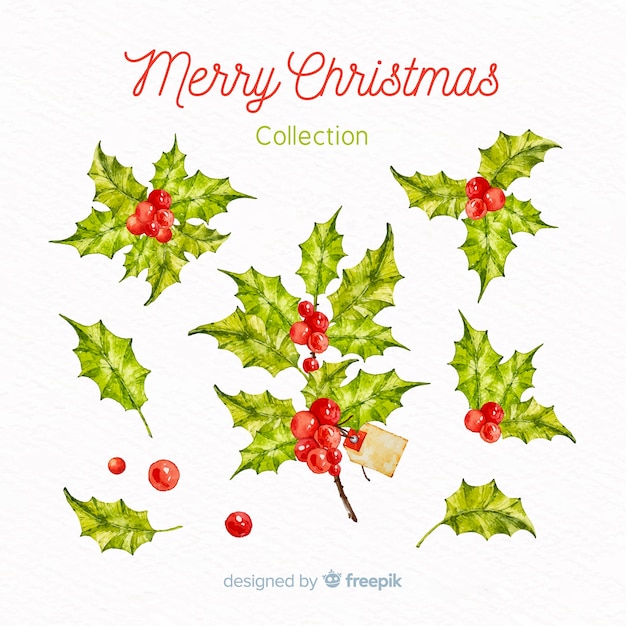 Free vector mistletoe collection