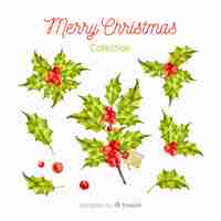 Free vector mistletoe collection