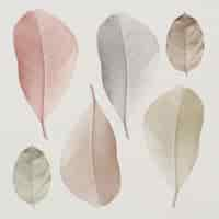 Free vector mix of pastel leaves