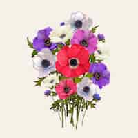 Free vector mixed anemone flowers