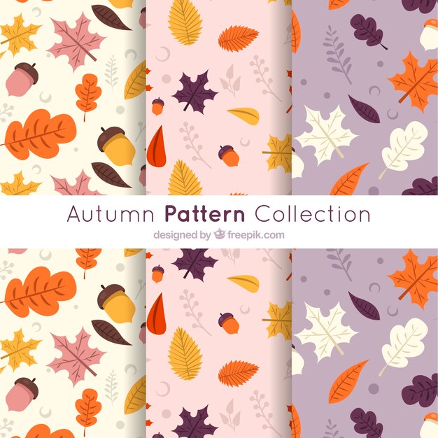 Modern autumn pattern collection