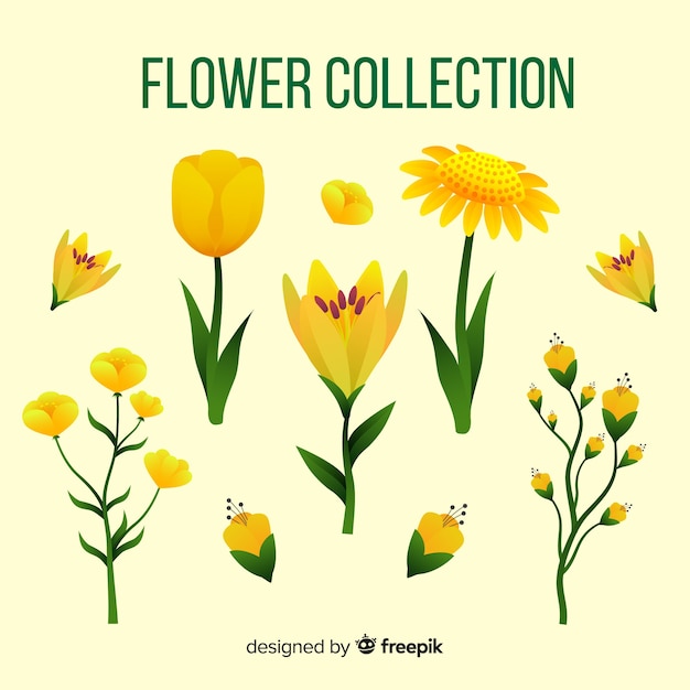 Free vector modern floral collection with flat design