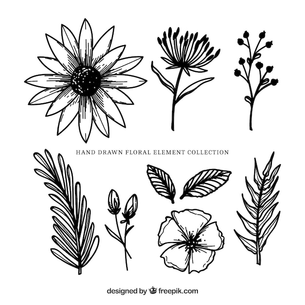 Modern floral elements with hand drawn style