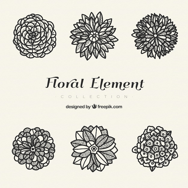 Modern floral elements with hand drawn style