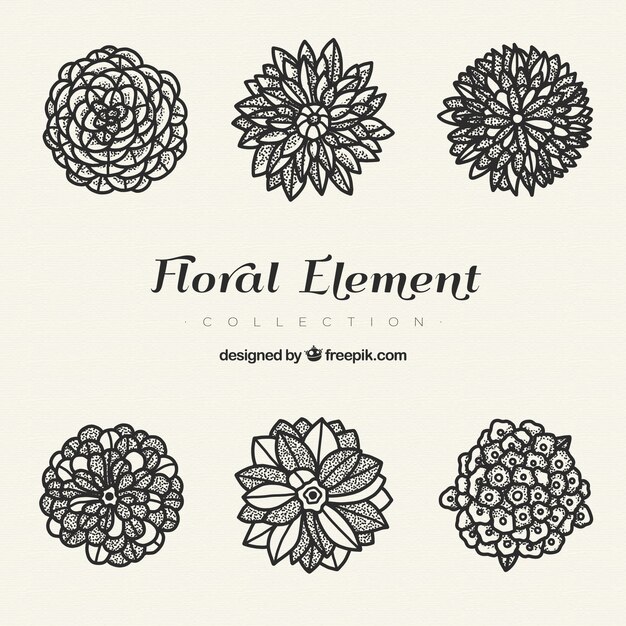 Modern floral elements with hand drawn style