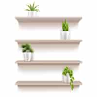 Бесплатное векторное изображение Современные мебельные элементы реалистичный набор из четырех деревянных полок с зелеными комнатными растениями в горшках векторная иллюстрация