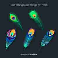 Free vector modern hand drawn peacock feather collection