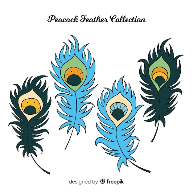 Modern hand drawn peacock feather collection