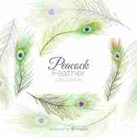 Free vector modern hand drawn peacock feather collection