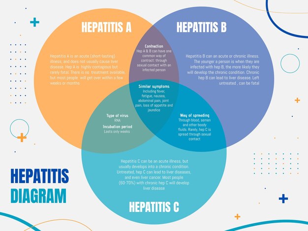 現代の肝炎タイプのベン図