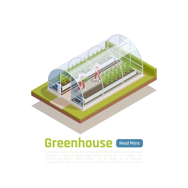 Modern hydroponic greenhouse outdoor isometric view with 2 workers planting seedlings and controlling climate conditions  banner