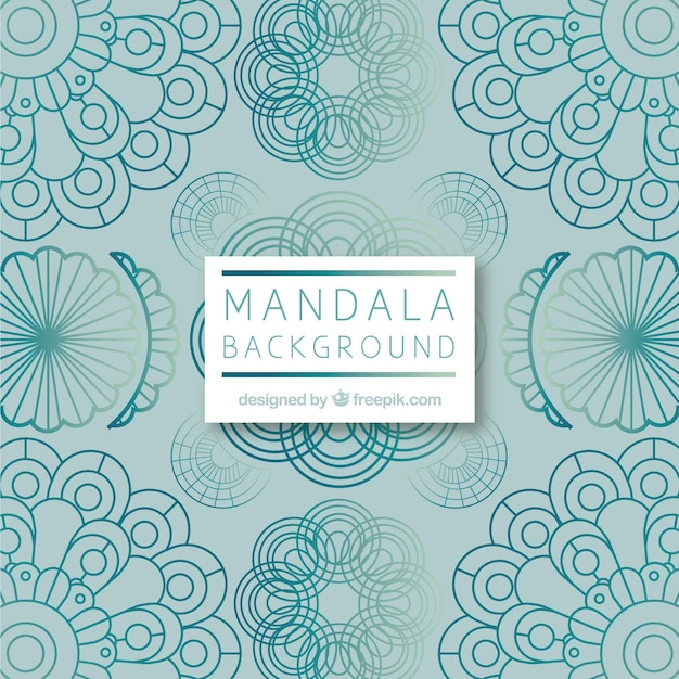 Modern mandala background with colorful style