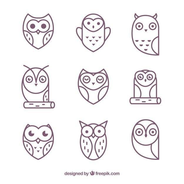 Modern outline owl pack