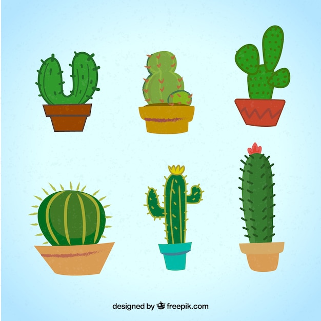 Free vector modern pack of colorful cactus