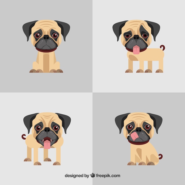 Free vector modern pack of happy pugs