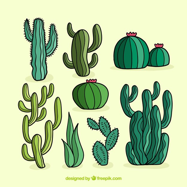 Modern set of hand drawn cactus