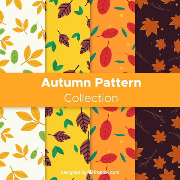 Modern set of lovely autumn patterns