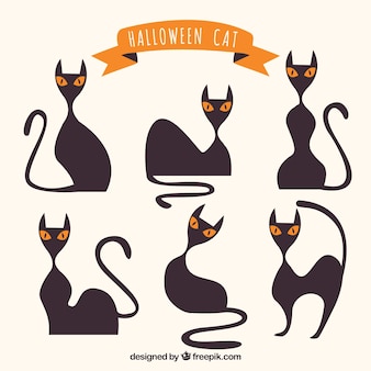 ハロ​ウィーン​の​猫​の​現代的​な​セット