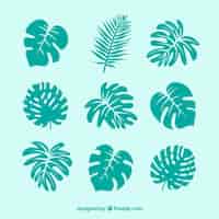 Бесплатное векторное изображение Современный набор тропических листьев с плоским дизайном