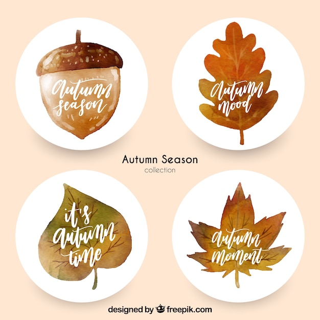 Free vector modern set of watercolor autumn labels